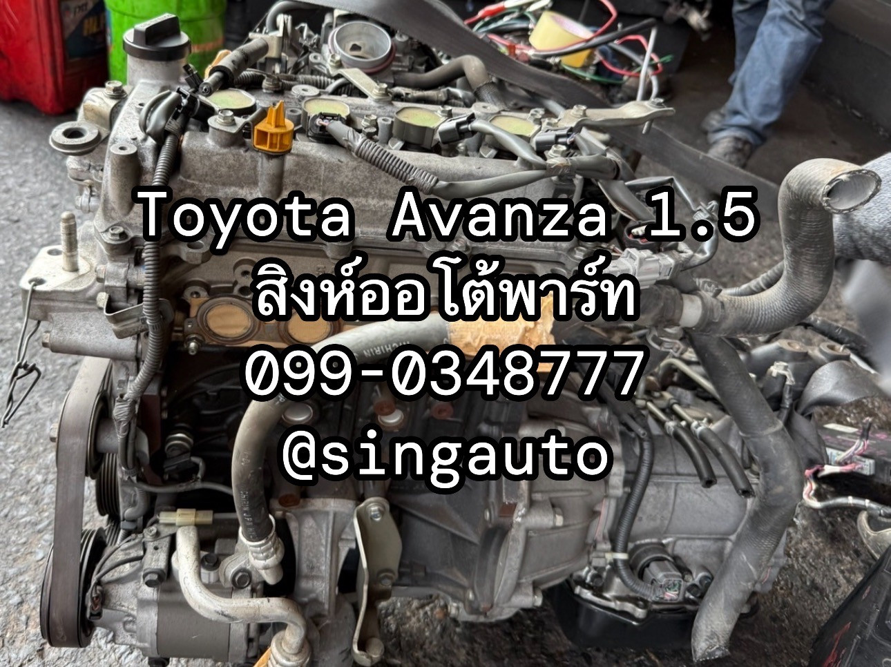 S__65995272.jpg